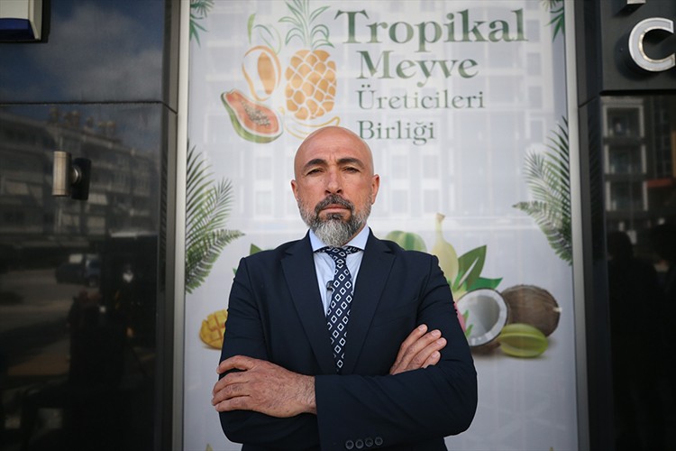 Tropikal meyvede kalite ve pazarlama artacak