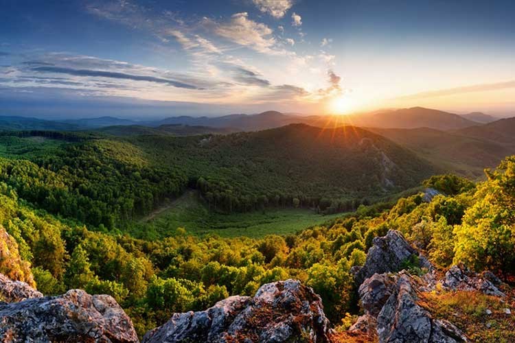 Schneider Electric Sürdürülebilirlik Etki Ödülleri Başlıyor