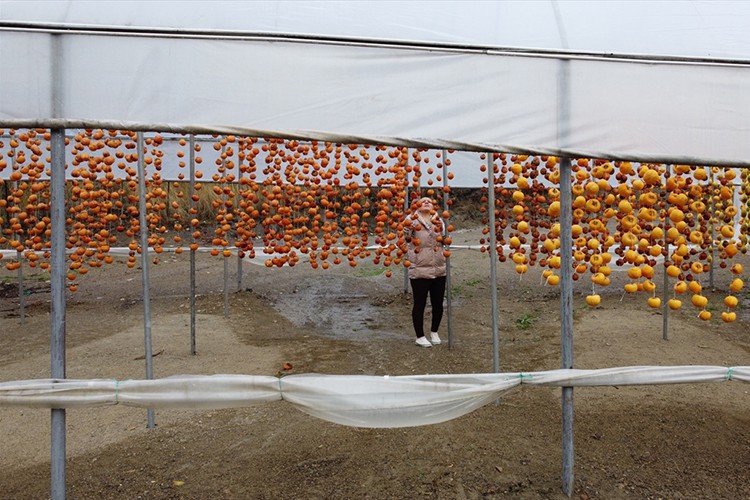 Trabzon hurmasını katma değere dönüştürerek satıyorlar