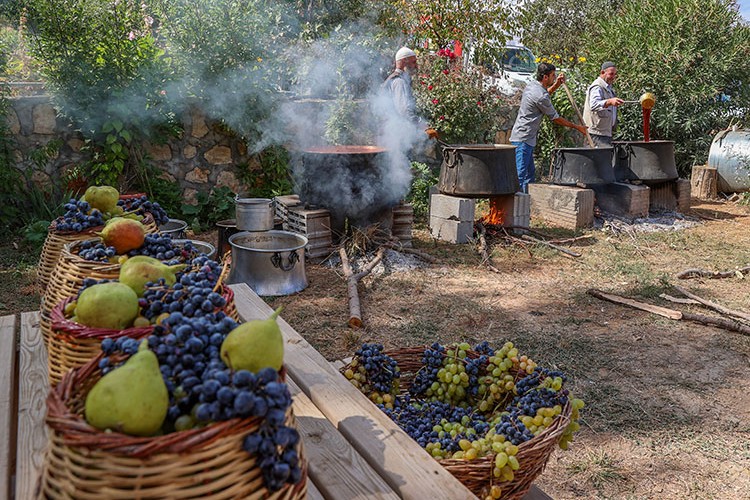 Diyarbakır'da bağ bozumu şenliği düzenlendi