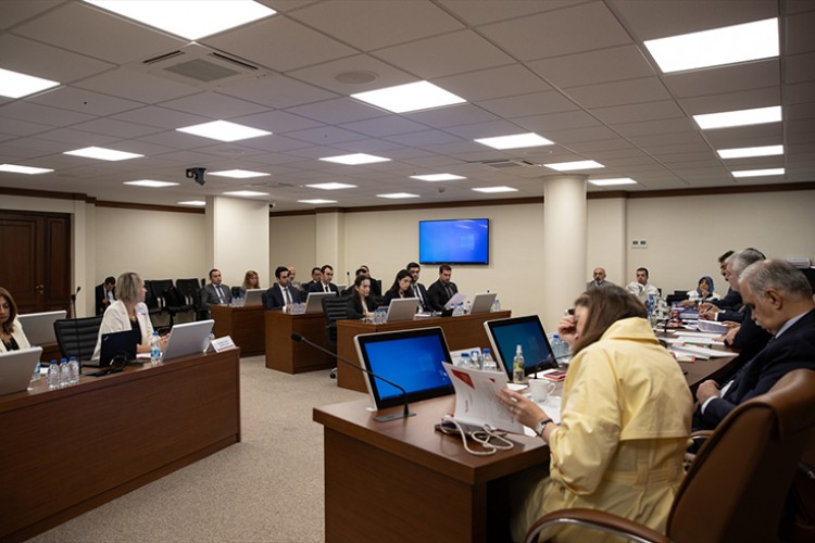 Gübre rekabet soruşturmasında taraflar sözlü savunma yaptı