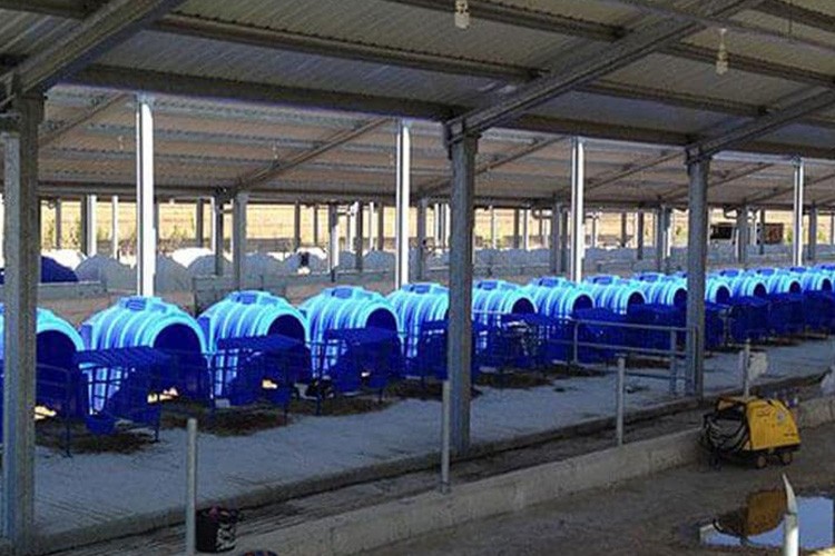 Karmod, buzağı kulübelerine yenilikler ekledi