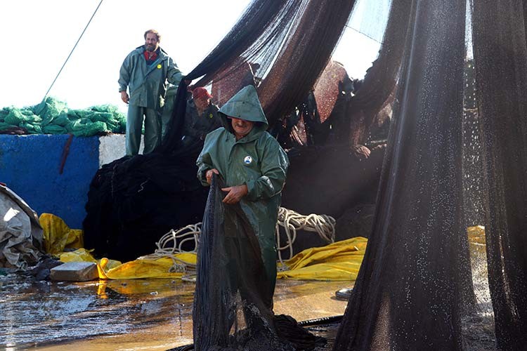 Balık bitti geri döndüler