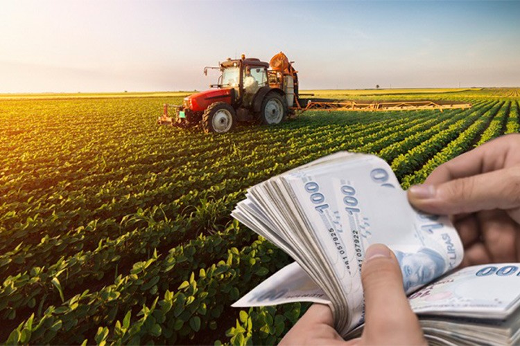 Çiftçilere 2,9 milyar liradestek ödemesi yapılacak