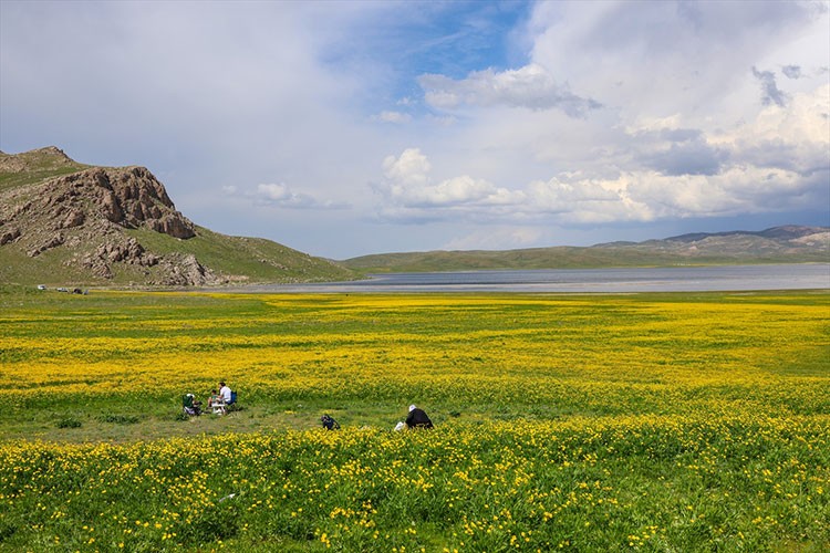 Van'daki Keşiş Gölü, ziyaretçilerini ağırlıyor