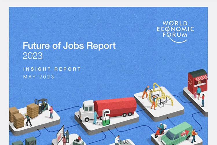 En büyük büyüme eğitim, tarım ve e-ticarette olacak