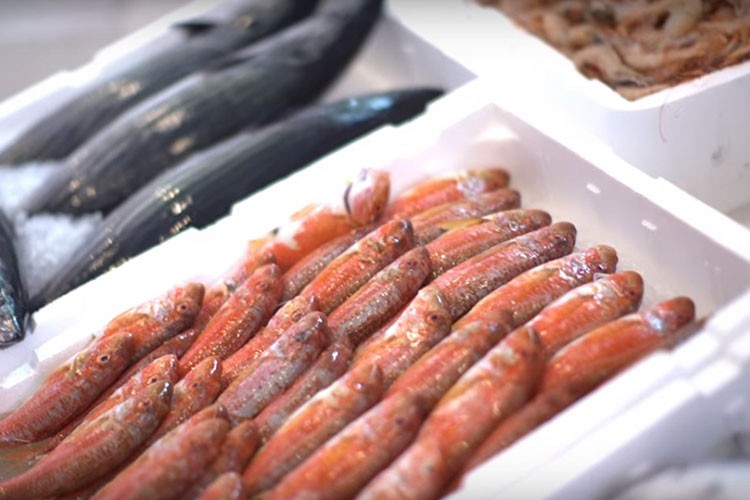 Türkiye'nin su ürünleri üretimi 2024'te yüzde 7,6 azaldı