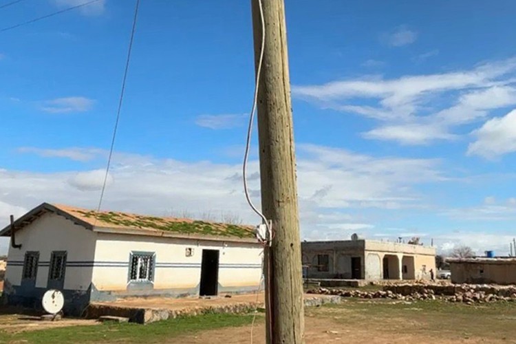 Direği oyup kaçak hat çektiler