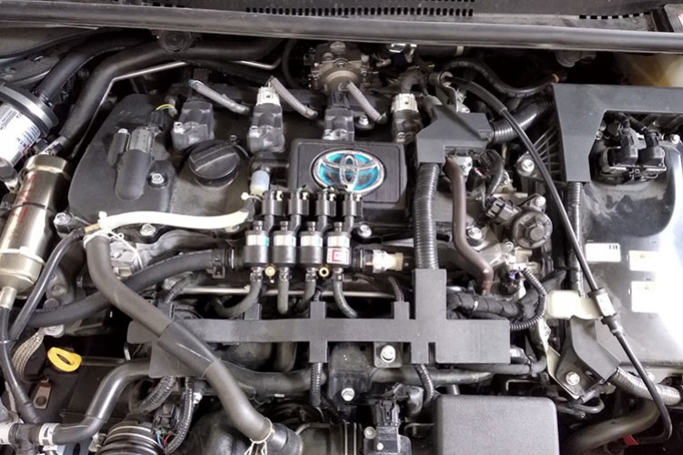 Gelecek onların olacak