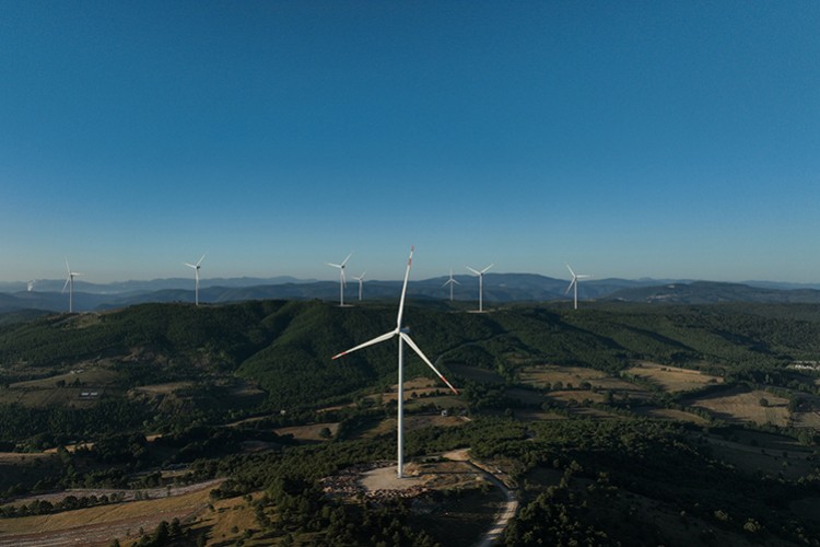 Büyümeye hız kesmeden devam etti