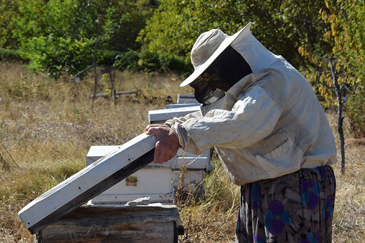 Kadın arıcı, genç girişimcilere örnek oluyor