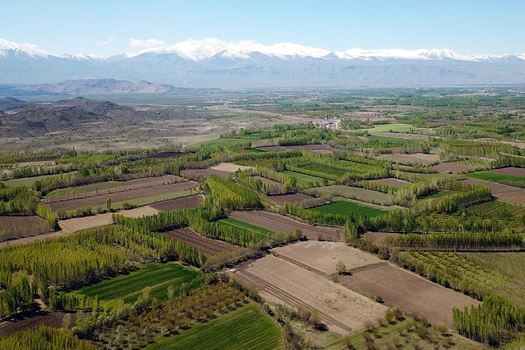 Sulak alanları doldurup arazi kazananlara ceza