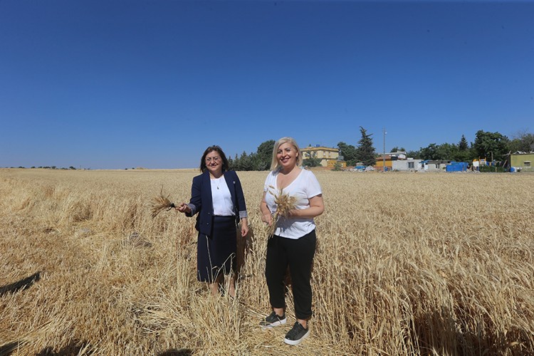 "Yeni dünyaya herkes hazırlansın"