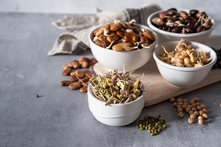 Sağlıklı Yaşamın Yeni Anahtarı: Filizlendirilmiş Bakliyatlar