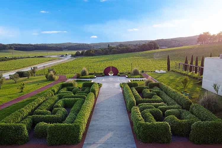 Hotel Caeli'de Bağ Bozumu Deneyimi Başladı