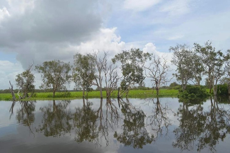 Kakadu Ulusal Park, Darwin
