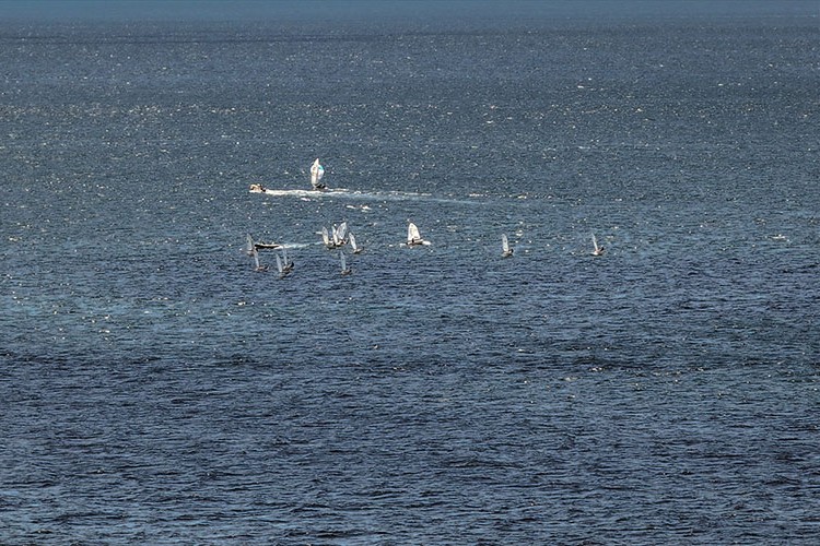 İstanbul'da yelken festivali başladı