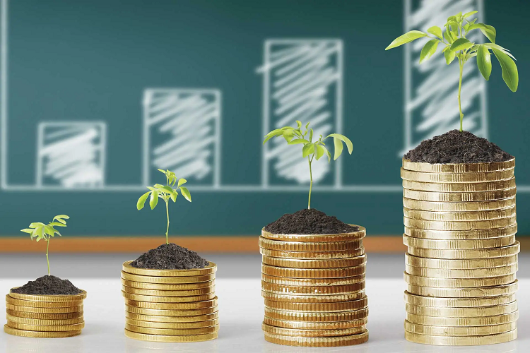 Yatırım Fonu Türleri Nelerdir? Nasıl Yatırım Yapmalı?