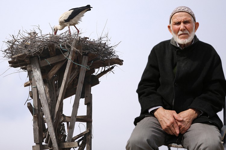 Bahçesine yuva yapan leyleklerin 61 yıldır yolunu gözlüyor