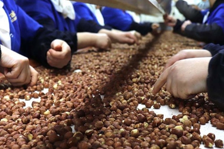 Doğu Karadeniz'den 4 ayda 525,5 milyon dolarlık ihracat yapıldı