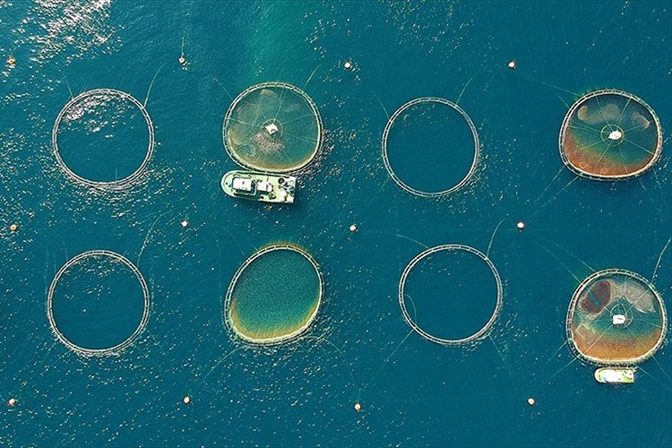 Çiftçi eğitimleri sürüyor