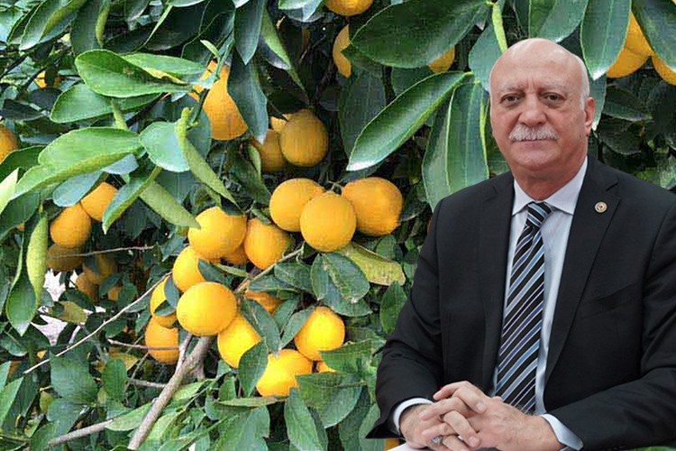 En fazla fiyat farkı limonda görüldü