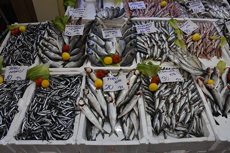 Hamsi 10 liraya düştü