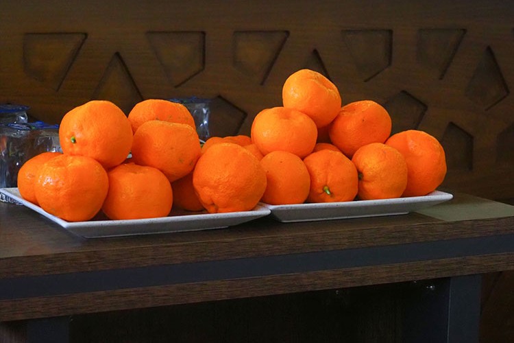 Havran mandalinası ve siyah incirinin coğrafi işaret tescilleri yapıldı