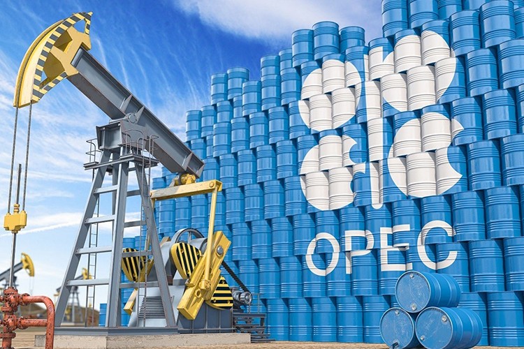 Birleşik Arap Emirlikleri OPEC'ten ayrılıyor