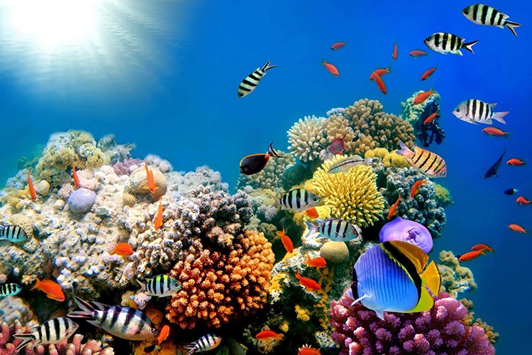 DP World'dan mercanlara koruma