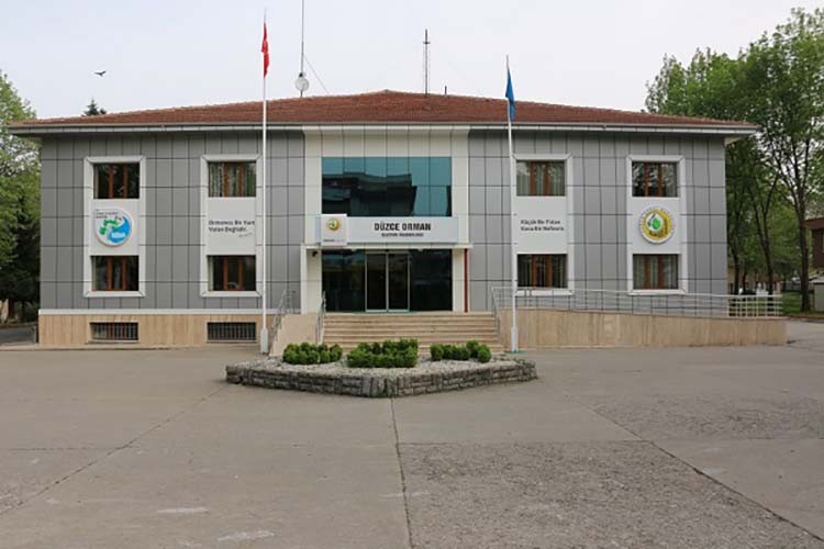 Orman emvali istif hizmeti alınacak