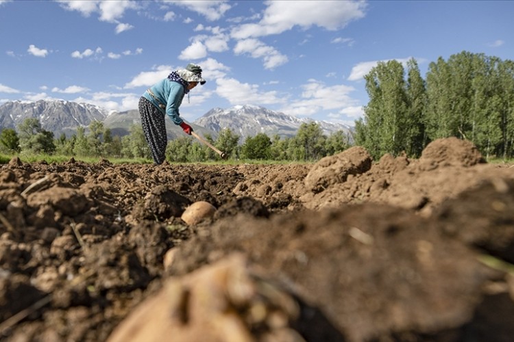 İklim değişikliği kaynaklı afetlere karşı sigortanın önemi artıyor