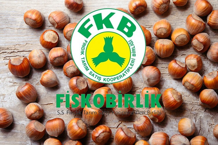 FİSKOBİRLİK fındık alımına 11 Ağustos'ta başlayacak