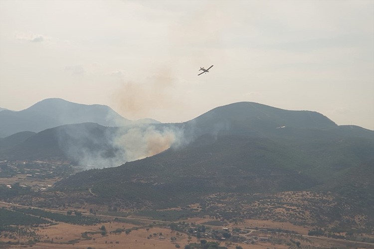 İzmir'de çıkan orman yangını kontrol altına alındı