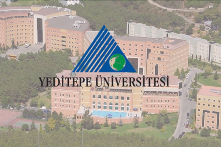 Akademisyen alınacak