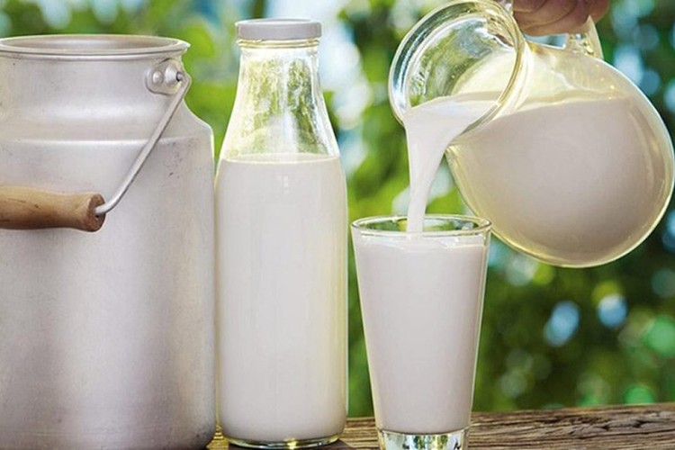 Çiğ süt destek esasları belirlendi