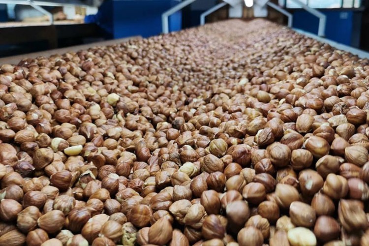 Trabzon'dan 11 ayda 479,9 milyon dolarlık fındık ihraç edildi