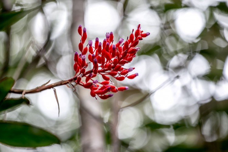 Michelin'in ekonolojik koruma alanı girişimi 20. yılını kutluyor