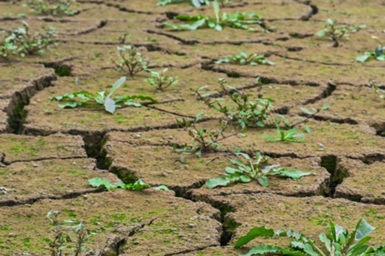 Türkiye'den uzun dönemli iklim değişikliği stratejisi