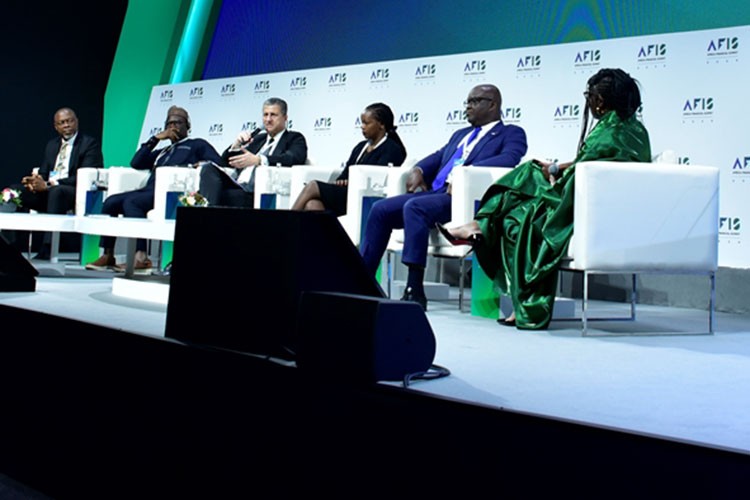 Afrika'da ortak piyasa çalışmaları sürüyor