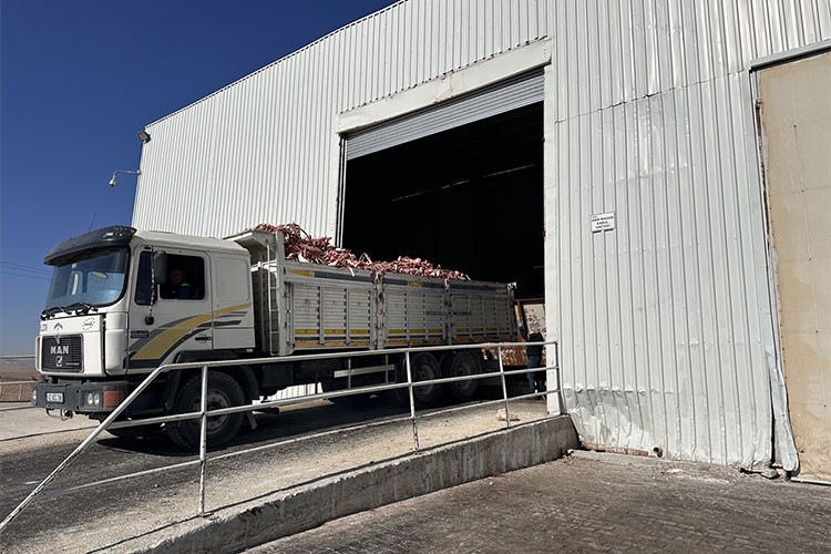 Büyükbaş hayvan kemiklerinden sabun ham maddesi elde ediliyor