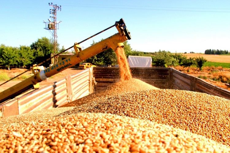 Hububatta G. Amerika atağı