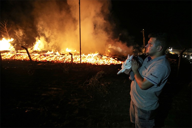 Palet fabrikasında çıkan yangın kontrol altına alındı