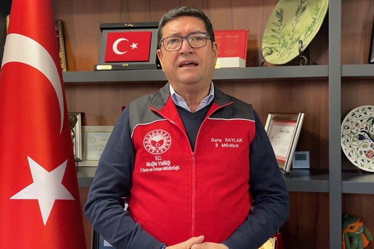 Muğla'dan geçen yıl 84 ülkeye su ürünleri ihraç edildi