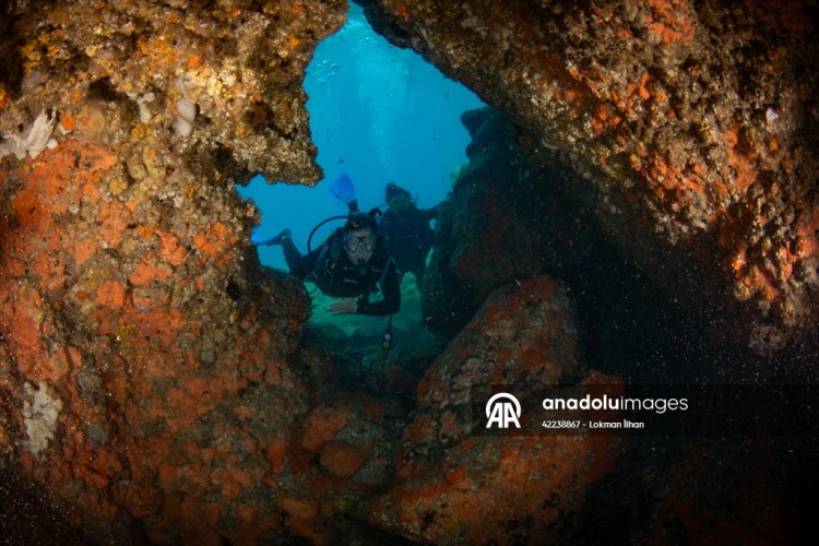 Kruvaziyer turistleri Kuşadası'nın su altı güzelliklerini de keşfediyor