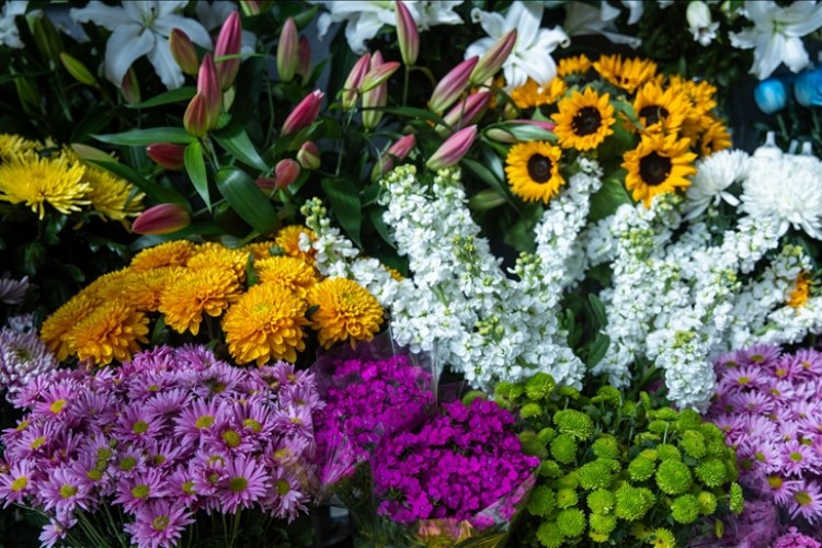 Çiçekçiler Sevgililer Günü hazırlıklarına başladı