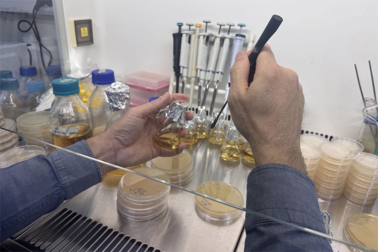 Hem verim artacak hem kimyasal kalıntı azalacak