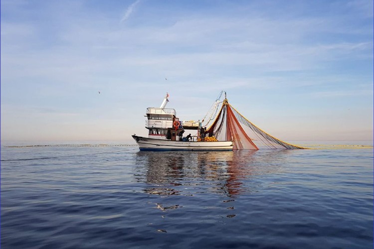 Sezonu erken kapatıyorlar