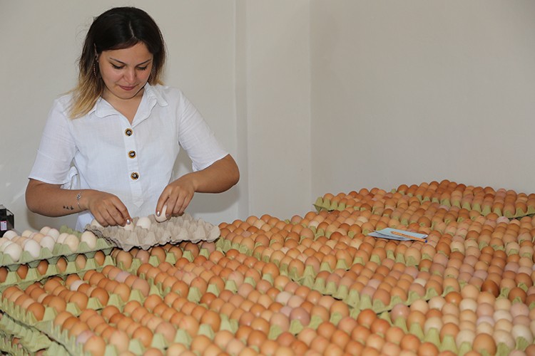 Hedef 16 milyon yumurta