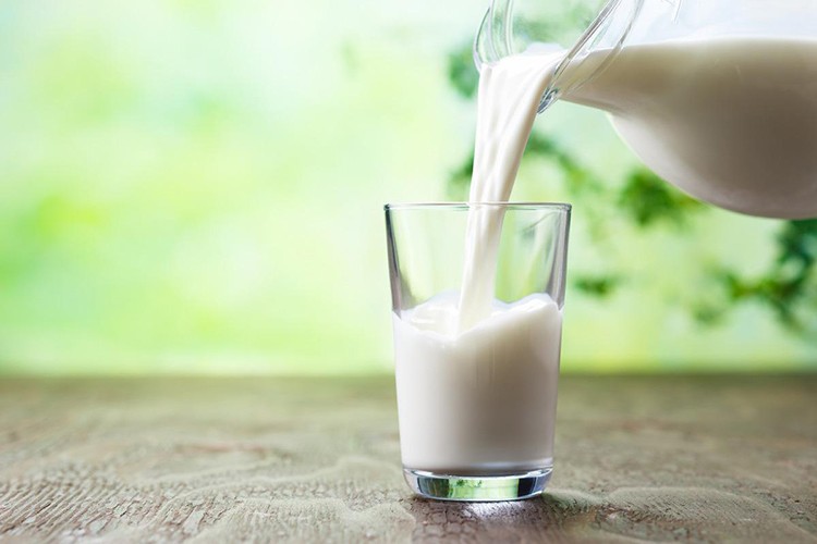 Manchester'ın okul sütleri, Türk firmasından sağlanıyor